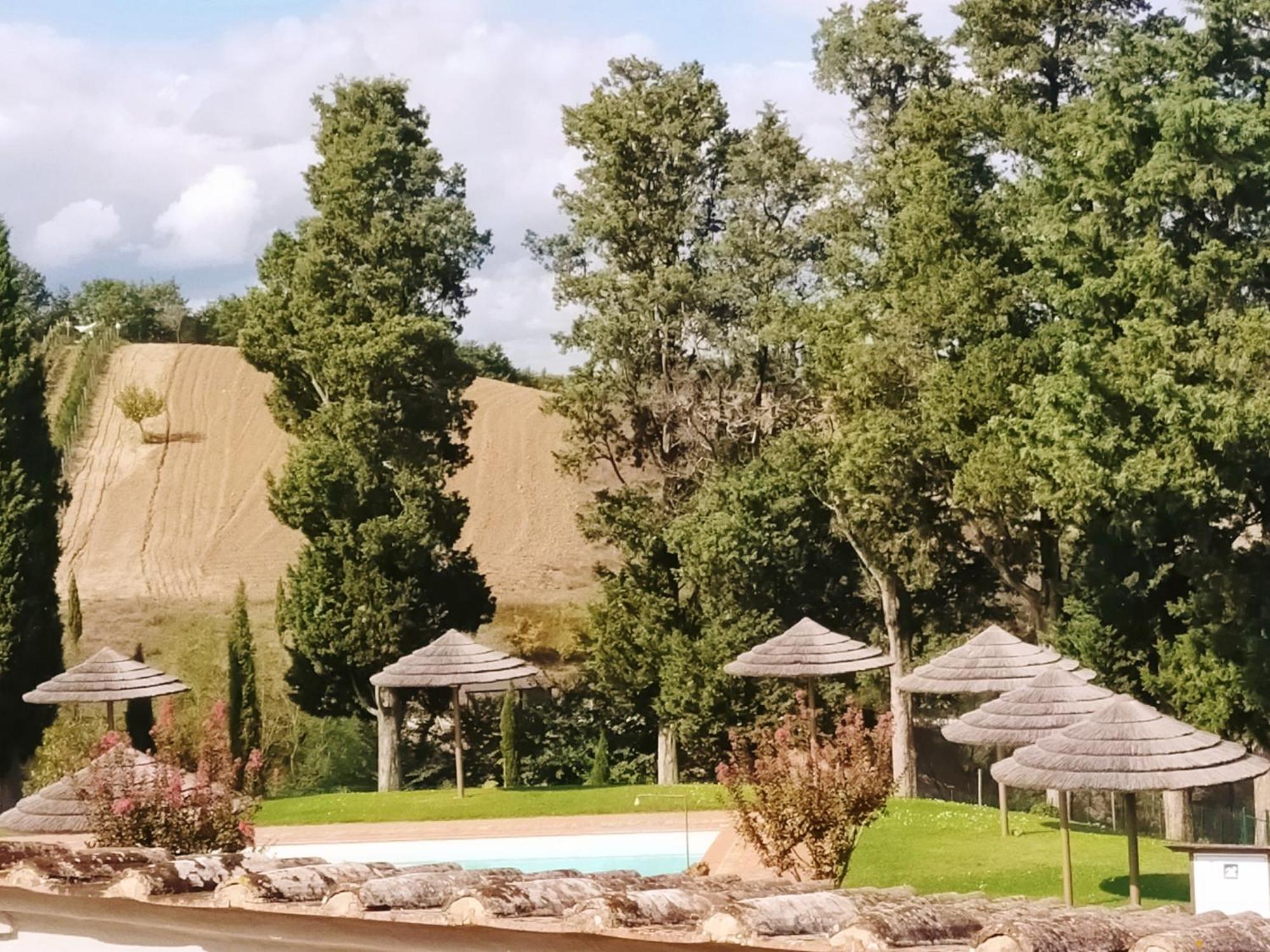 San Lorenzo Agriturismo Buonconvento Bagian luar foto